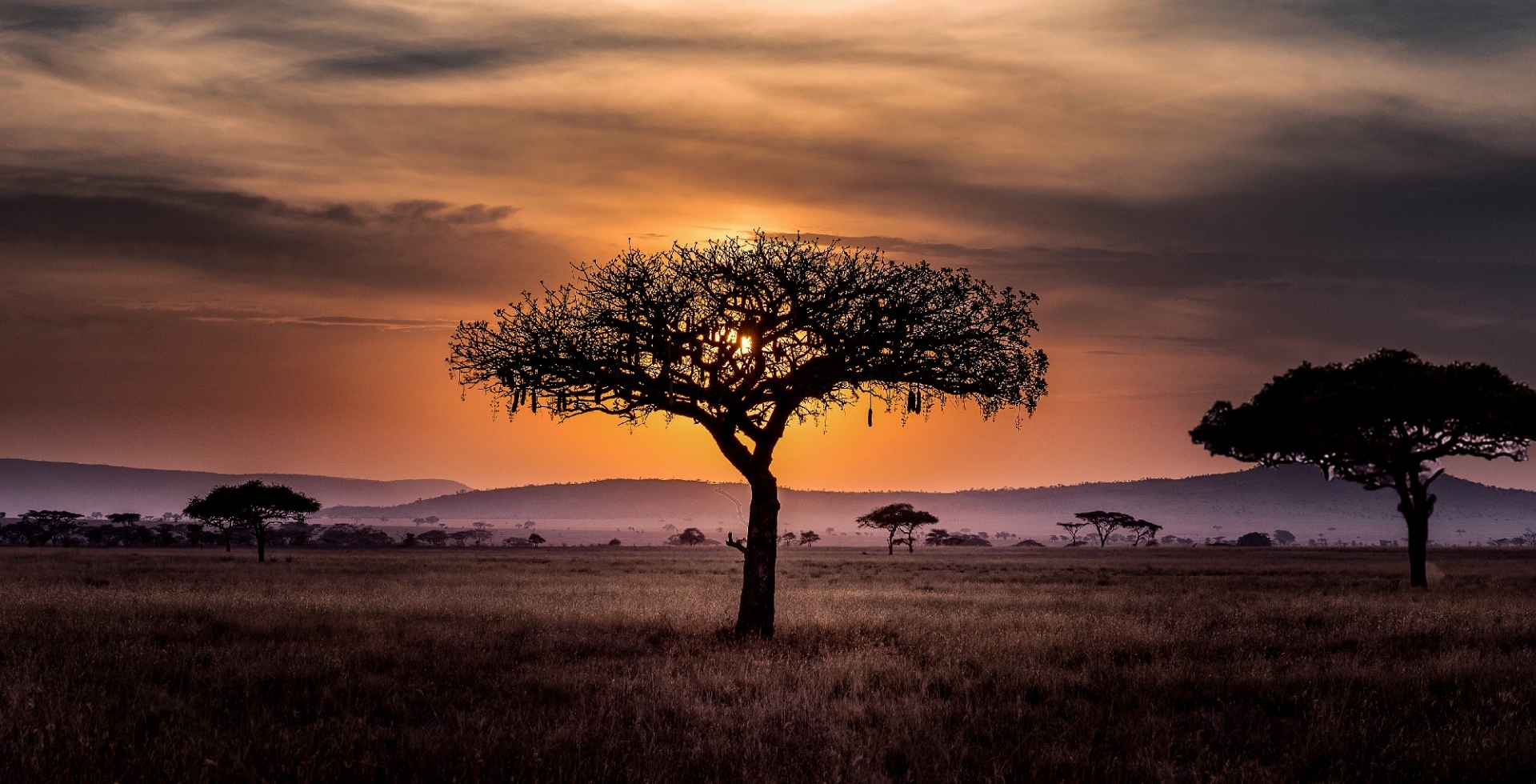 Sustainable Tourism