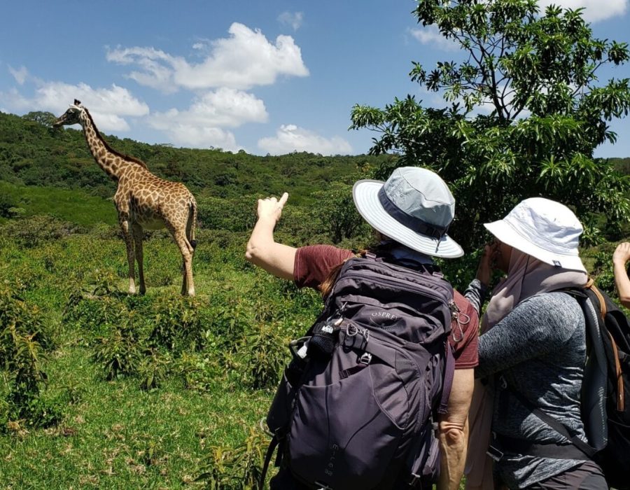 Arusha National Park