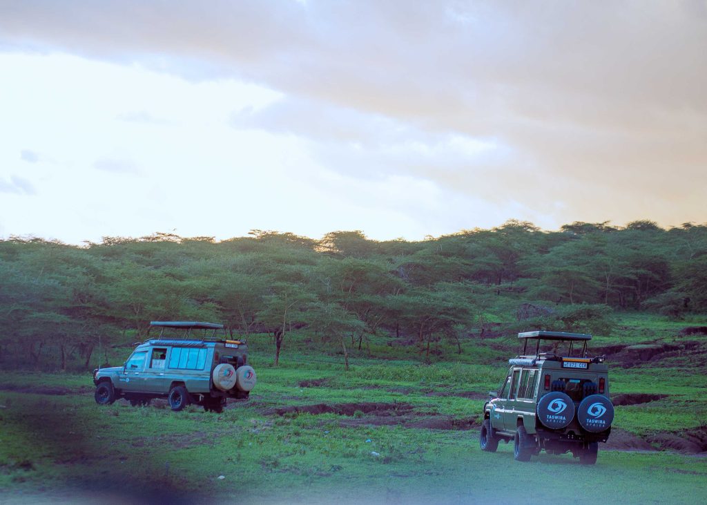 Your safari home, every day