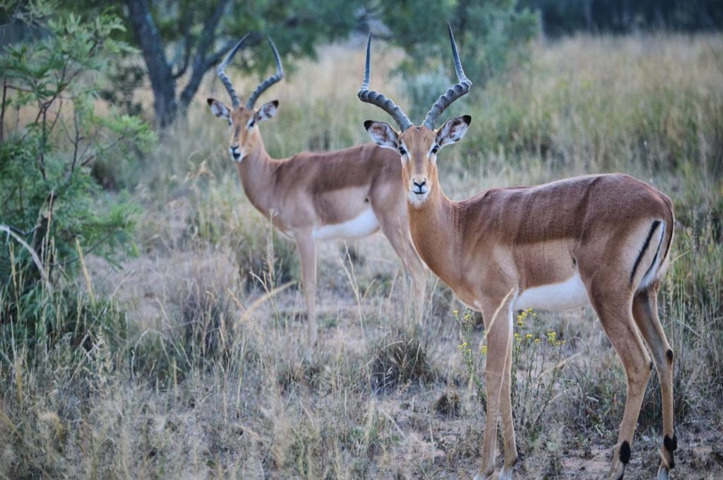 About Katavi National Park