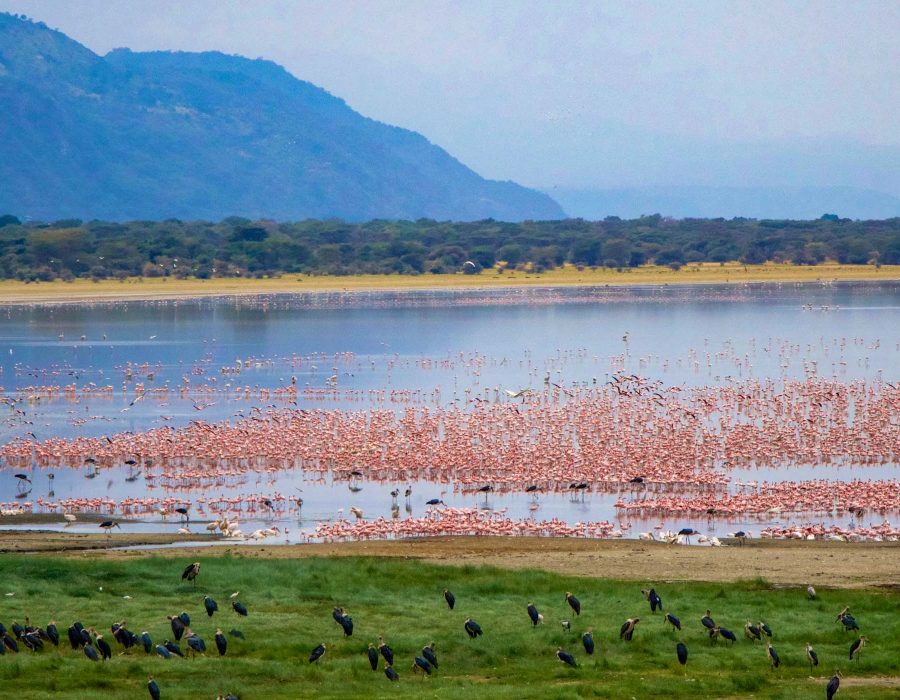 Lake Manyara