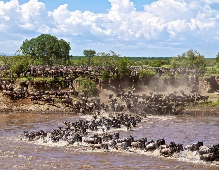 The Great Migration
