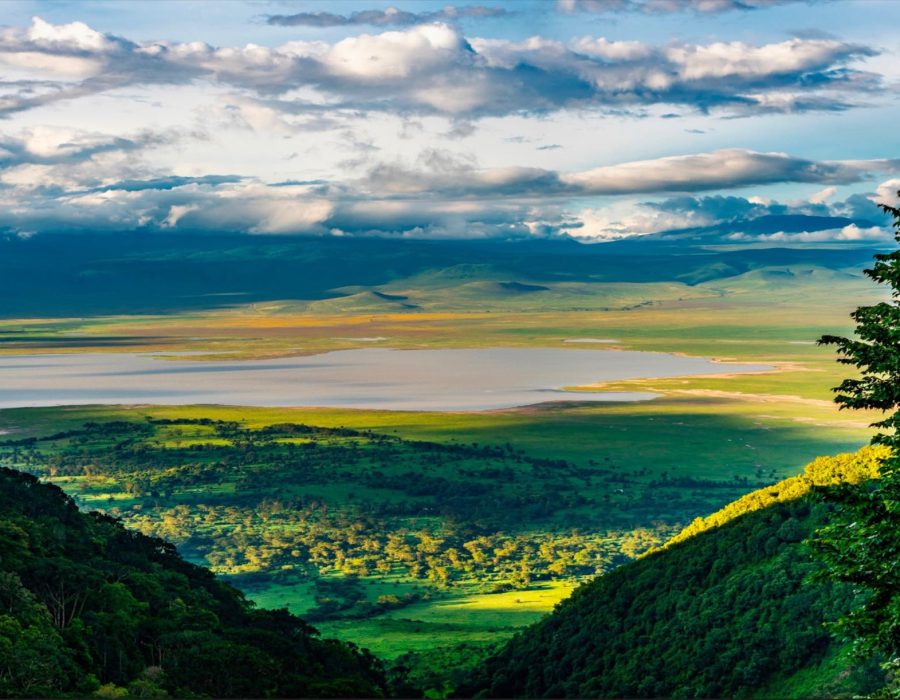 Ngorongoro Crater