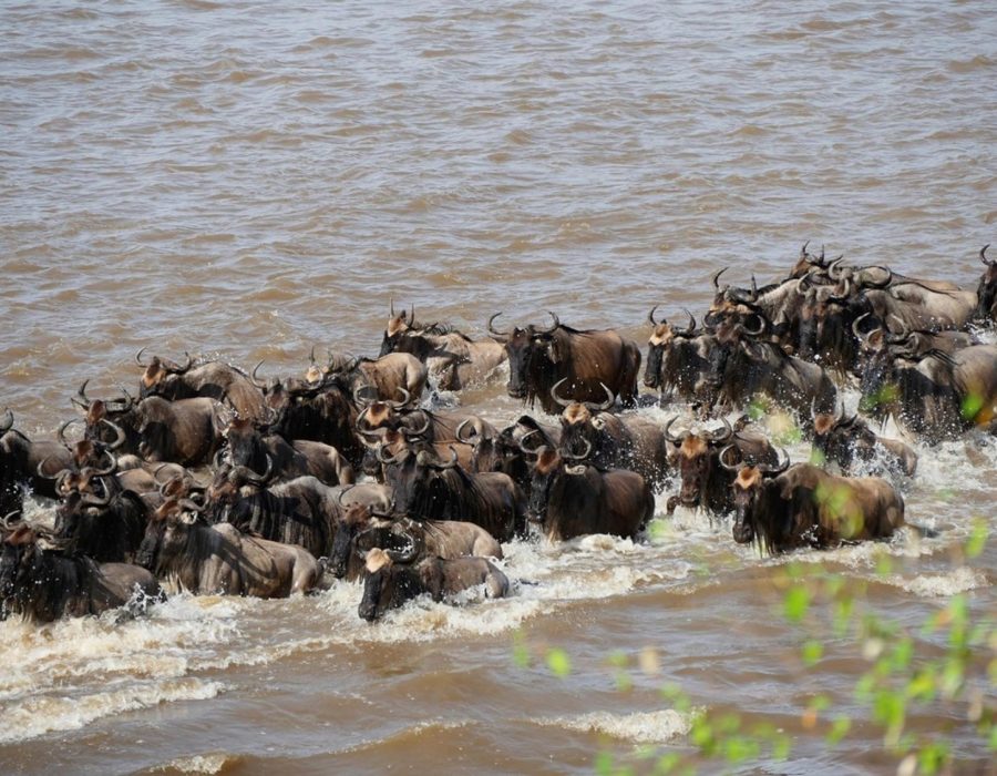 Serengeti National Park