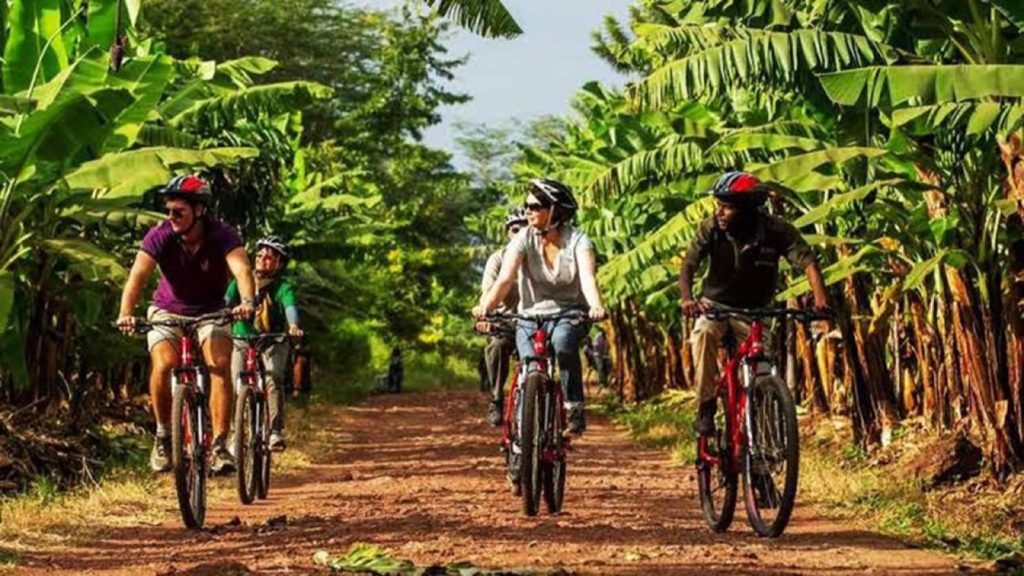 Biking & Cycling Adventures