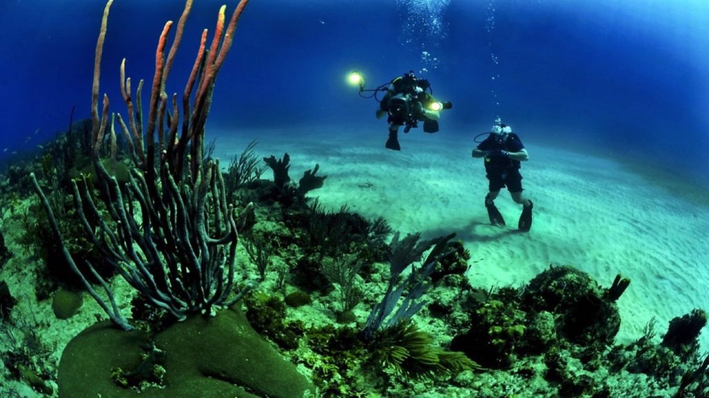 Diving