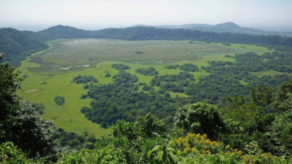 Ngurdoto Crater Walk