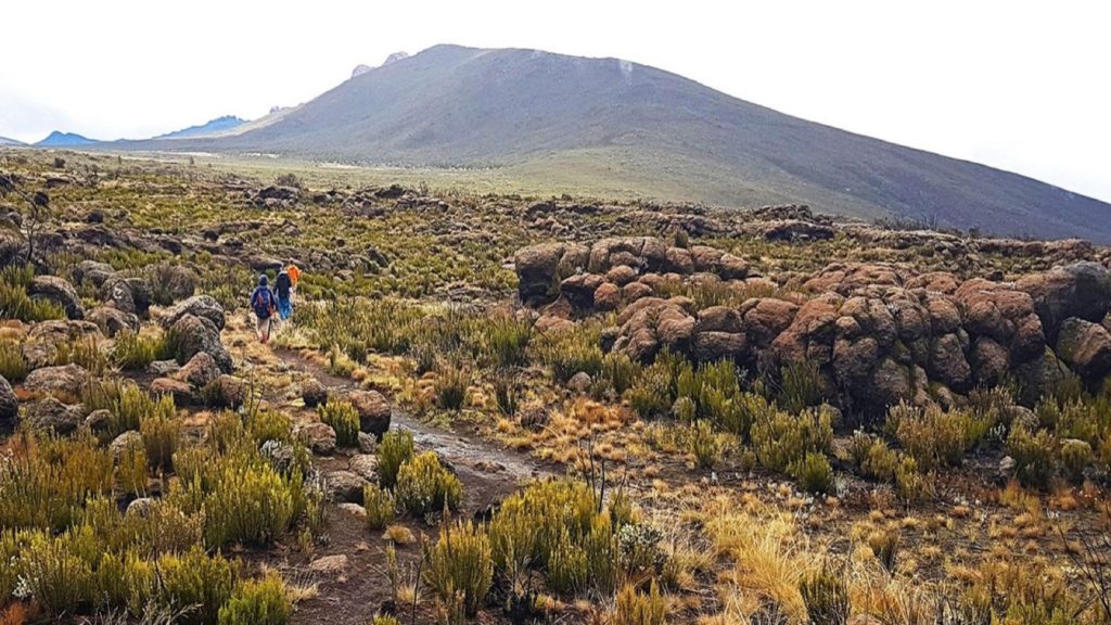 Kilimanjaro Day Trip