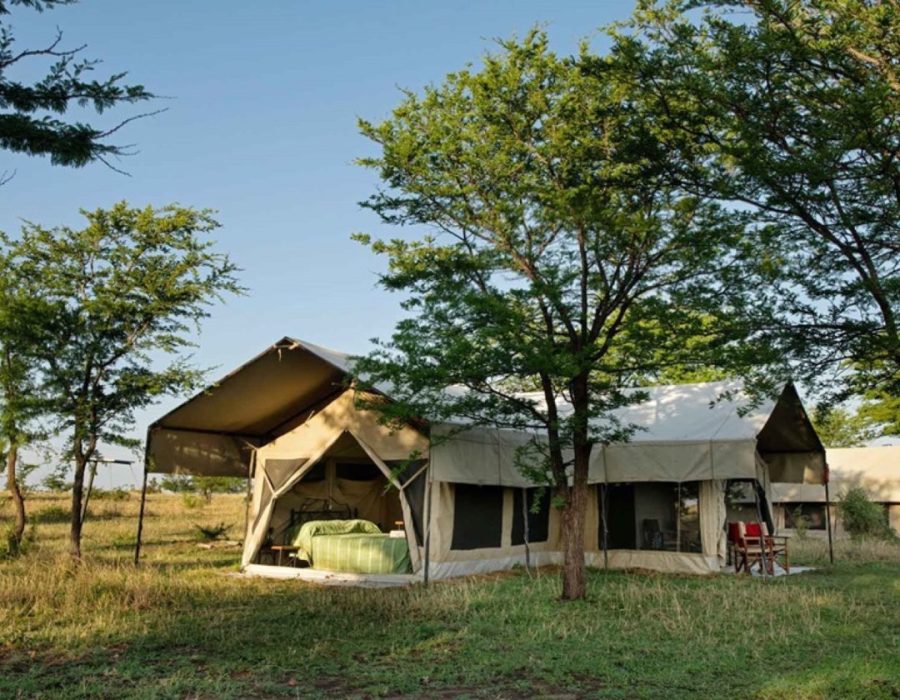 Serengeti Kati Kati Tented Camp