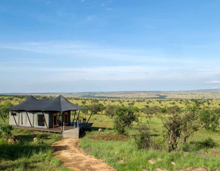 Mara Mara Tented Lodge