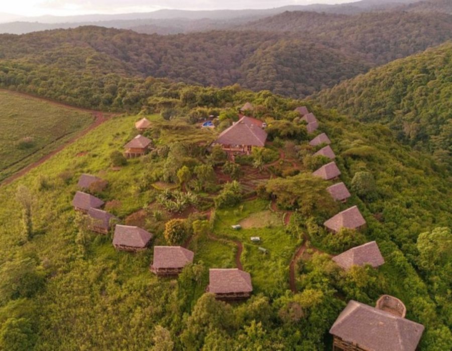 Rhotia Valley Lodge
